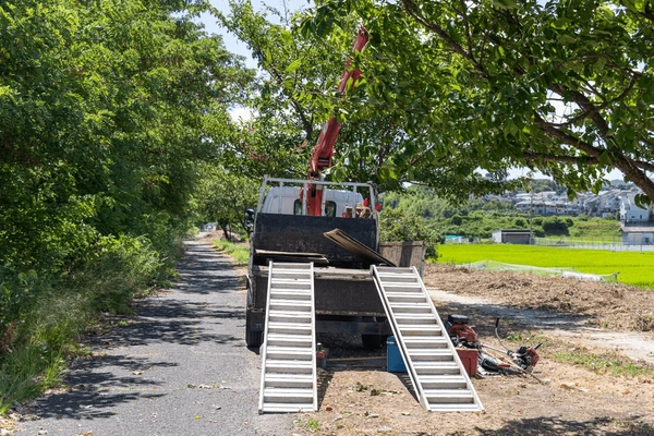 Small Crane Hire Clayton