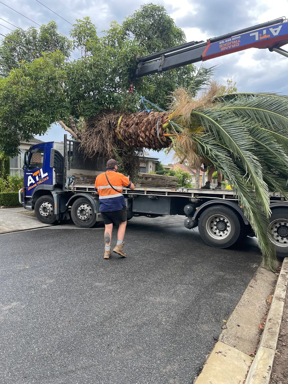 I Need A Crane Truck Near Me