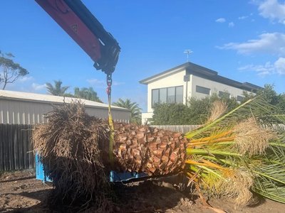 crane hire cost  in Melbourne